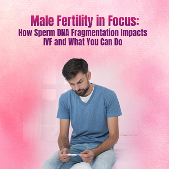Male Fertility in Focus